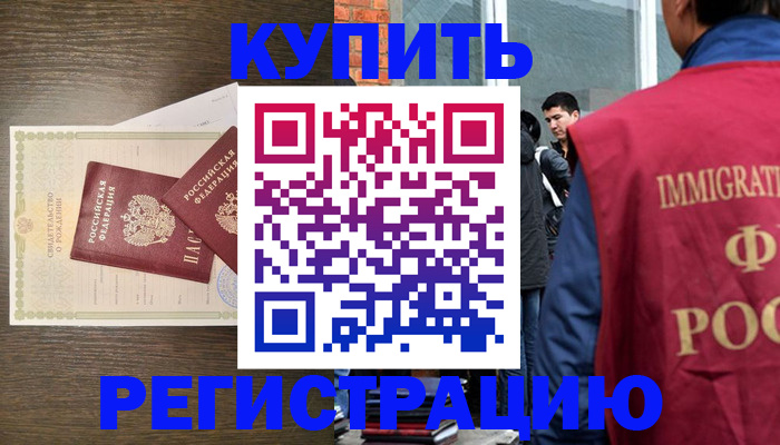 прописка для школы в Новгородской области